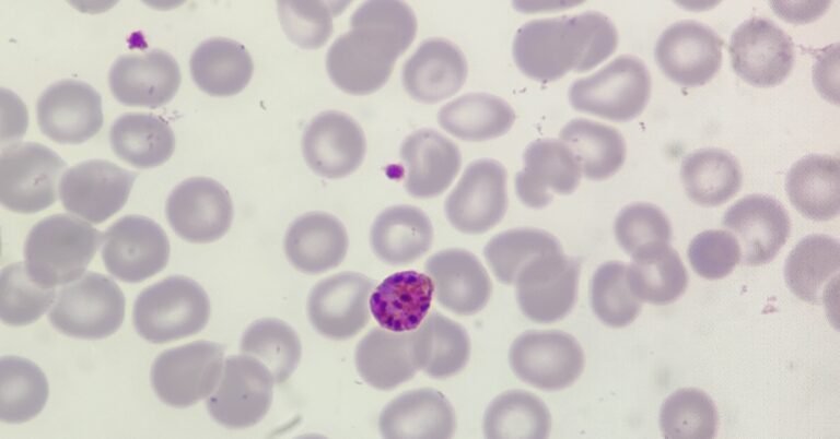 Morphology Monday | Case MM251020