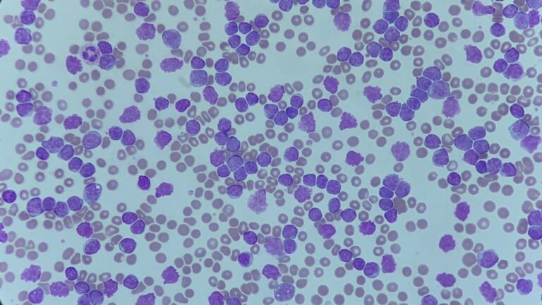 20210319_210816109_iOS