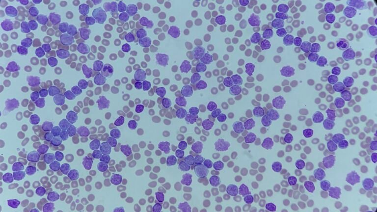 20210319_210902216_iOS